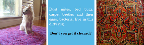 Rug Cleaning Rug Cleaning