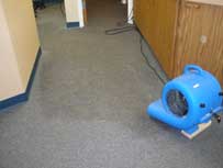 Carpet Water & Flood Damage Cleaning Carpet Water & Flood Damage Cleaning